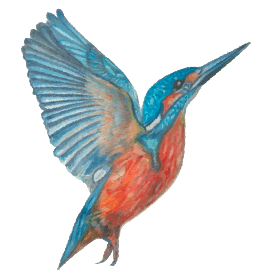 Grand Restaurant | Restaurant Theme